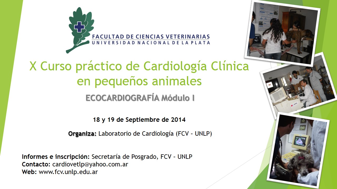 Adjunto X_Curso_practico_de_Cardiologia_Clinica.jpg
